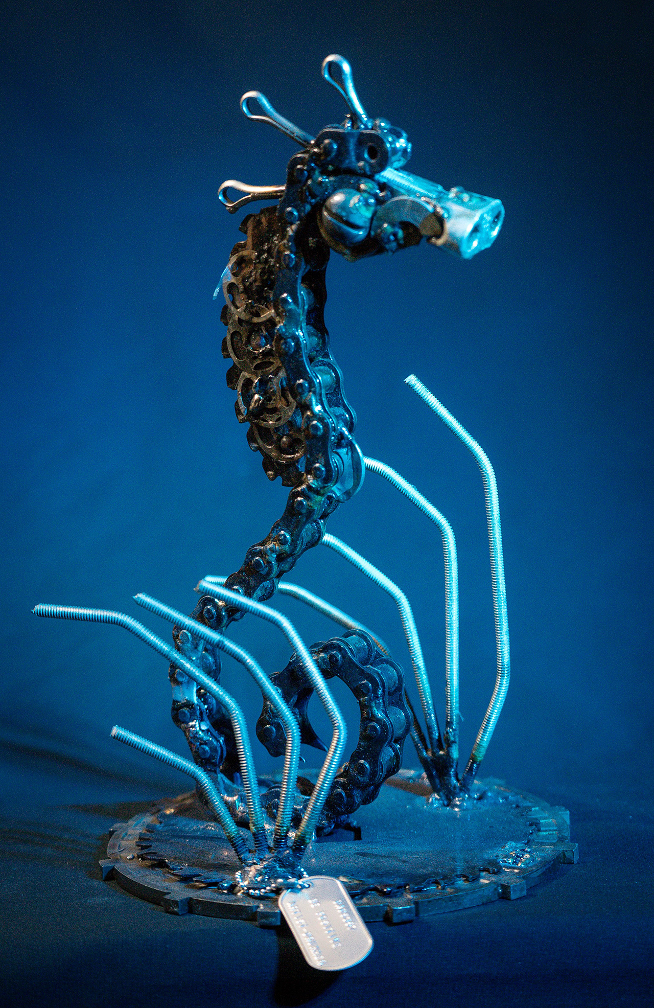 Steve Kost - Metal Health Artwork - From the Sea Portfolio Seahorse